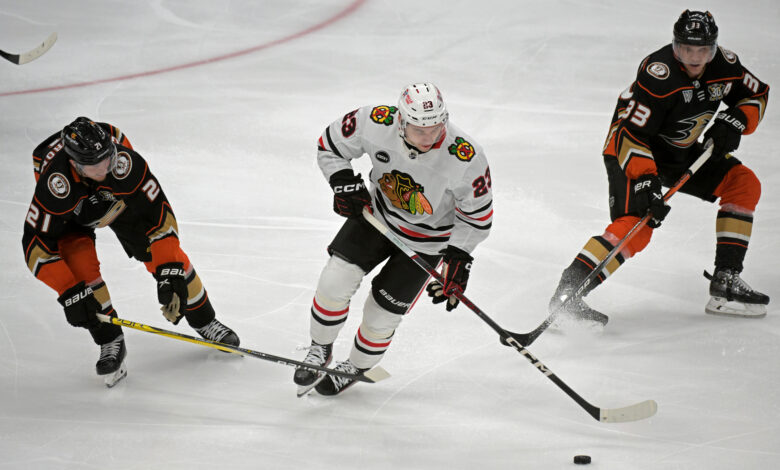 Vancouver Canucks vs Chicago Blackhawks Prediction 11-16-24 NHL Picks