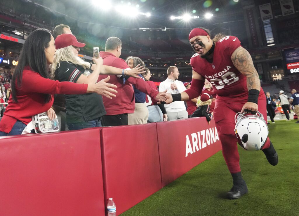 Arizona Cardinals vs NY Jets Prediction 111024 NFL Picks Sports